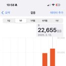 보사모