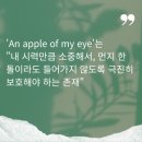 EYE MOMENT 이미지