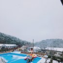 강릉힐링하우스펜션 이미지