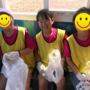 마시안갯벌체험장 이미지