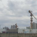 유림-1134 이미지