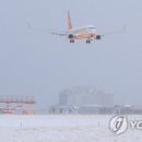 우현동물병원 이미지