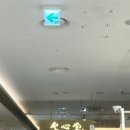 푸른등대펜션 이미지