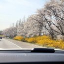 구즉묵보리밥전문점 이미지
