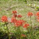 성북동-853 이미지