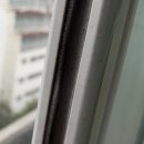 메머드익스프레스동탄퍼스트점 | 창문 틈새 벌레 유입 원인과 해결 방법｜패브릭씰러 시공 후기
