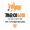 개순이 살롱 이미지