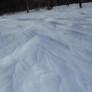 온누리목장 이미지