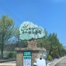 우리대형정비 | 화성수목원 완벽정리 화성시 우리꽃 식물원 대형수목원 힐링코스 추천