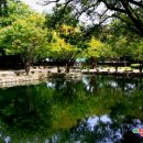 남원다슬기탕 이미지