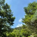 웨딩스토리 | 전주 청담스토리 웨딩촬영후기(에스하우스, 테라)