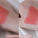 코랄