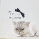 동원미용실 - 성동구 | 동원미용실