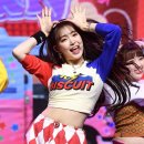 포토조아 이미지