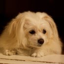 안녕하세요 이미지