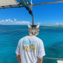 워터가드 | 워터파크 필수템, 레이지비 래쉬가드 숏슬리브 반팔 착용 후기 🌊