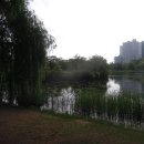 천하대장군 이미지