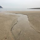 (주)삼주여행사 | 씨트립 대행사 (매우,정말,절대)비추 후기와 비엣젯 항공사 후기