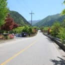 춘천 계곡민박 이미지