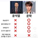 개 편한 세상 이미지