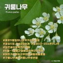 백두대간＜도래기재~구룡산~신선봉~깃대배기봉~태백산~화방재＞