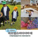 애월 애견동반 카페 제주도 빅프렌즈미디어카페