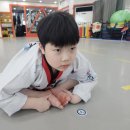 신중태권도 이미지
