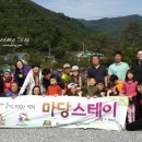 스테이 마당 이미지