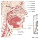 어진부부한의원 이미지