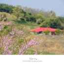 뒷골목장 이미지