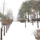 은봉어린이공원 이미지