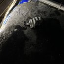 88실내바다낚시터 이미지