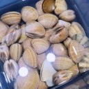풍천펜션민박 | 태안 오션뷰 펜션 57빌리지 너무 좋아 아이들이랑 꼭 가볼만한곳