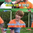 위플레이