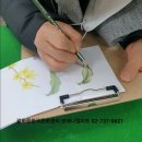 색연필 식물 세밀화 이미지