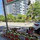 삼촌네마트 네이버블로그
