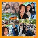 그늘막112 이미지