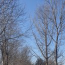 오며가며 이미지