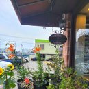 강영석동물병원 이미지