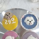 하나애견 이미지