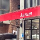 아우룸 이미지