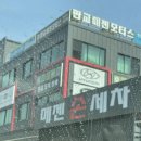 메젠손세차