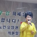 덕화노인요양원 Daum카페