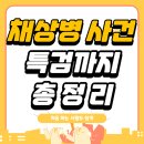 채상병 특별법 내용 드디어 대박입니다!!! 이미지