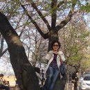 봄,여름,가을,겨울 이미지