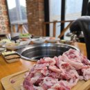 팔공산오리 이미지