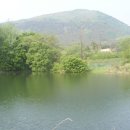 소월1리 이미지