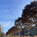 CU 연천한탄강점 | [한탄강 오토캠핑장 강변야영장 2] 서울 근교 깨끗하고 저렴한 캠핑 후기 / 캠핑 음식 추천