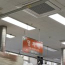 영월 중앙시장 메밀 전병 맛집 영자네 후기, 배추전, 부추전