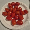 힐링풀빌라 | 한달만에 또 다녀온 가평 에코힐링키즈풀빌라펜션 재방문 후기